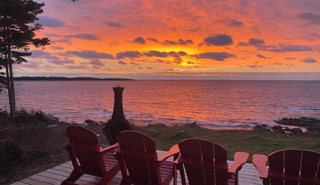 Majestic Oceanfront 8 acres of peace. Pets welcome :) in Sable River