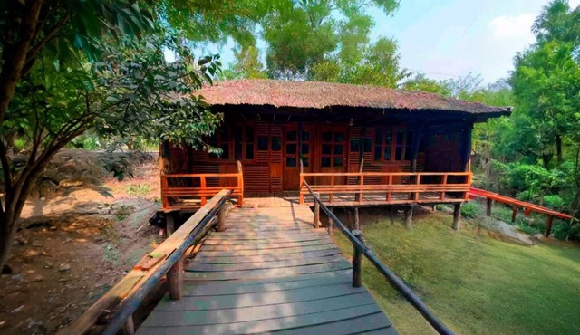 Mangrove Haven Resort