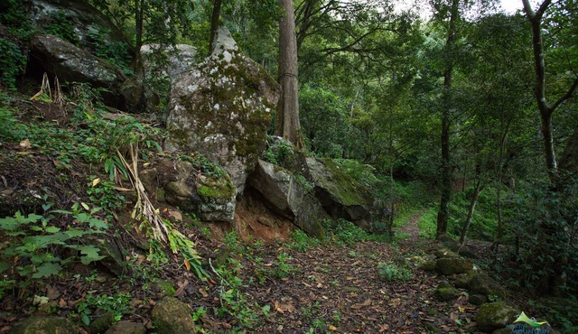 Misty Mountain Resort in Devikolam