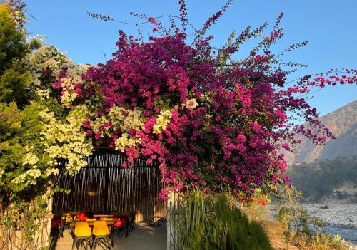Nayar Valley Retreat