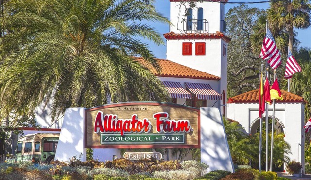 Oceanfront Resort ~ 3 Pools ~ Excellent Location in Saint Augustine