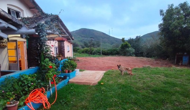 Ooty Heritage Villa 2BHK