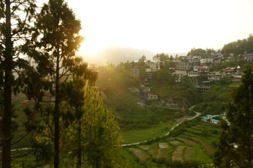 Orko Hilltop Resort - Mussoorie - Premium Rooms & Camps