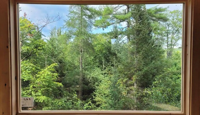Plus haute cabane dans les arbres en Amérique du Nord - Harrington, Canada in Harrington