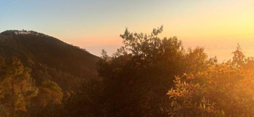 Qutel View Point Resort