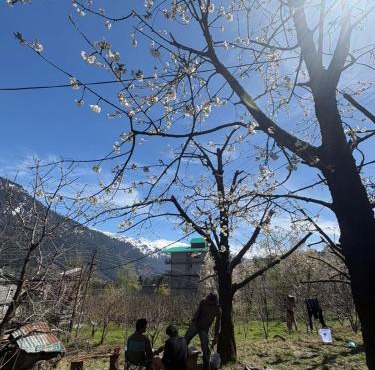 Raahi Roots