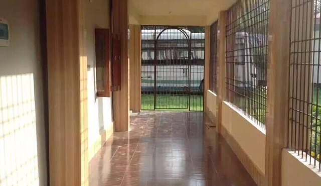Roots Eco Home