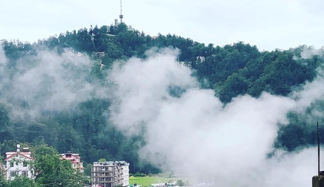 Shimla Pines Homestay