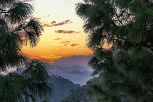 Snowfall View Home Kasauli Operated by Splendid Hotels