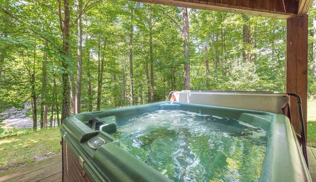Spacious Deep Creek Stay w/Rustic Charm in MCHENRY