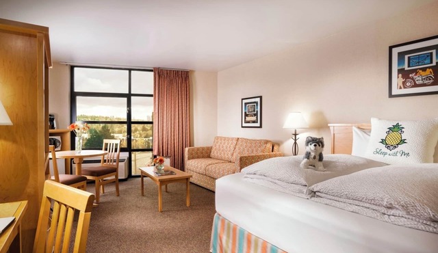 Spacious Junior Suite w/Pool in Vibrant University District | Free Parking in Seattle