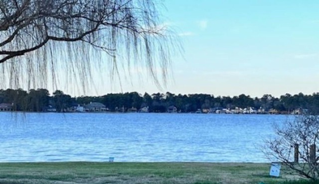 Spacious Lake Conroe Lakeview Home, 3 BR/3 BA, Gated Community, Sleeps 6-8 in Montgomery
