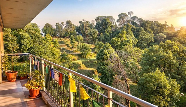 sunny homestay