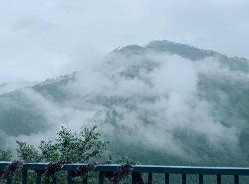 Tatsaaraa Kavan
