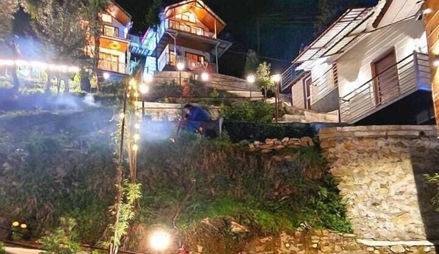 The Mystic Pines