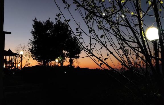 The Orchard