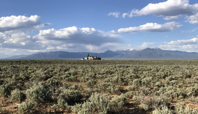 The Woman, The Rabbit and the Moon Ranch