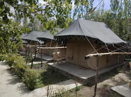 Tongspon Camp Nubra