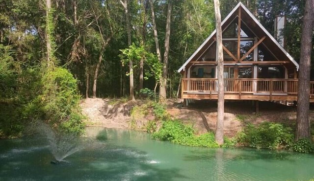 Waterfront Texas Cabin in a Magical Forest in Grimes County