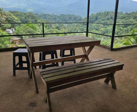 Wayanad views