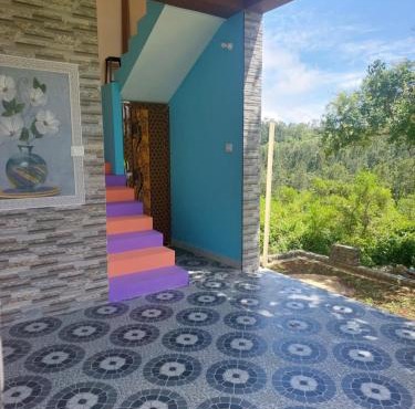 Yellow Rays Homestay