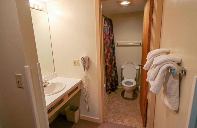 Efficiency with Sleeper Sofa only 214 in Killington