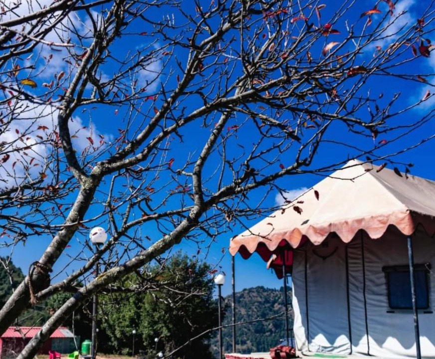 Kanatal Hotel | InstaView Kanatal