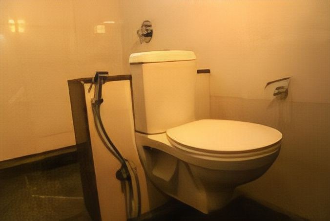 Photo of Bathroom in Krishnagiri