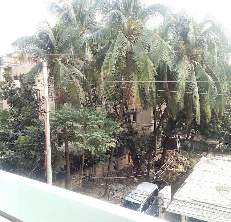 Photo of Outdoor in Gulshan