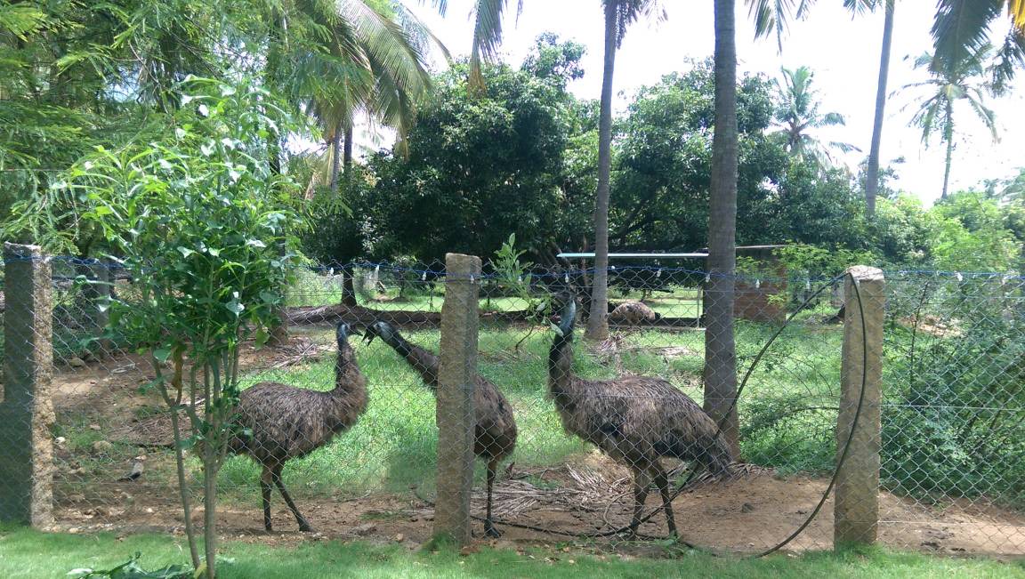 Photo of Others in Chittur