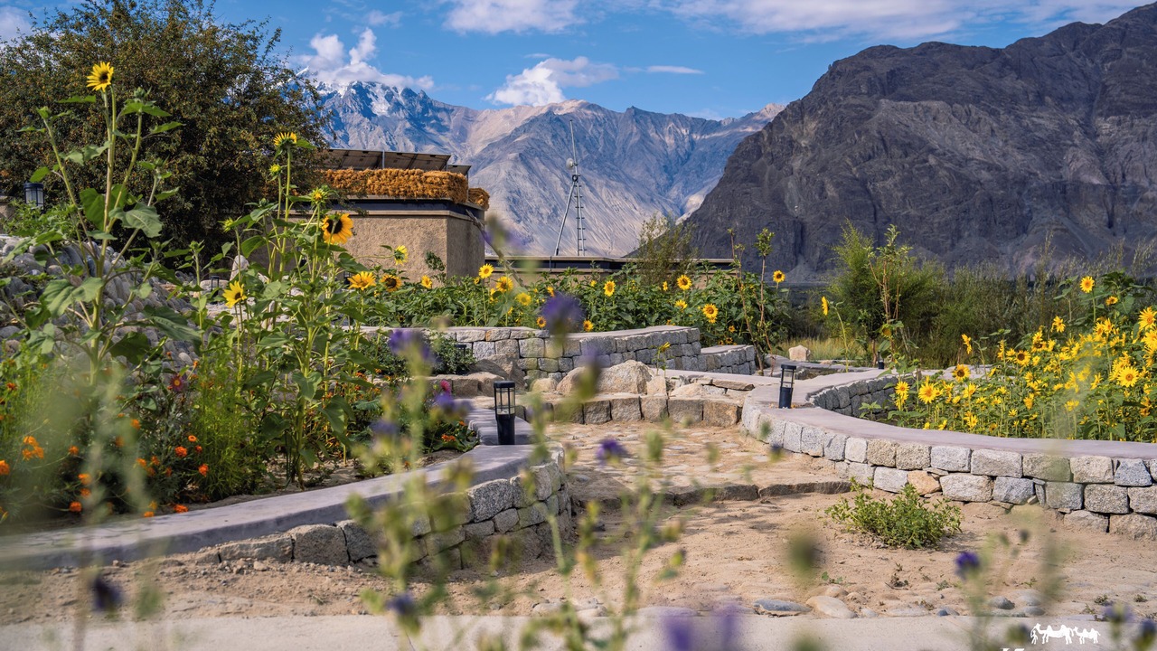 Photo of Outdoor in Nubra Valley
