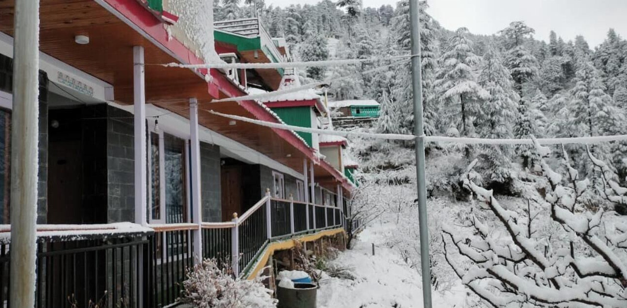 Photo of Others in Shimla