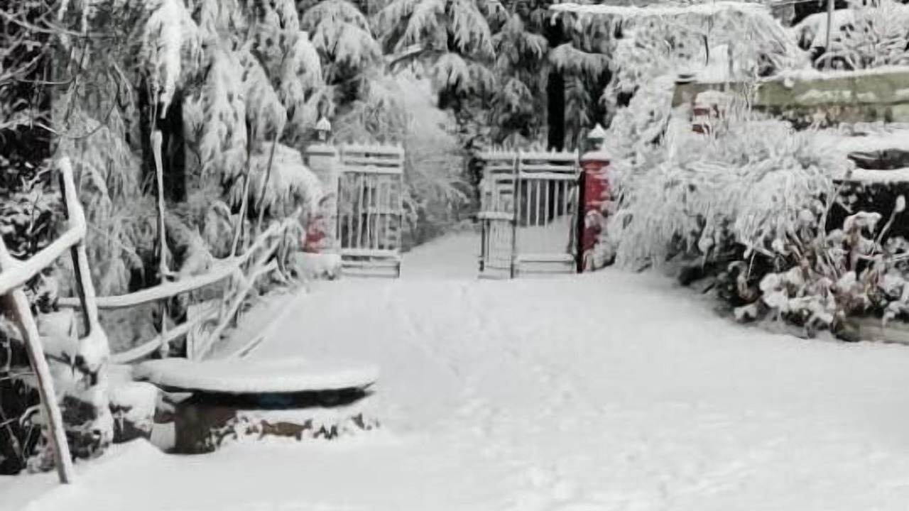 Photo of Others in Shimla