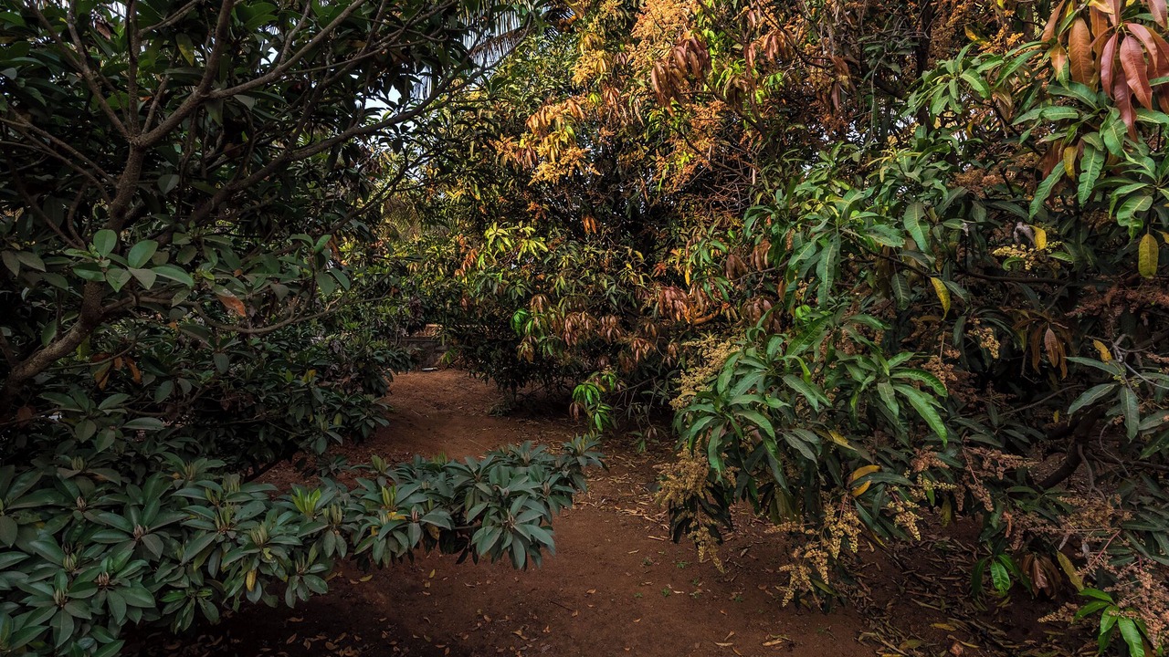 Photo of Outdoor in Paud
