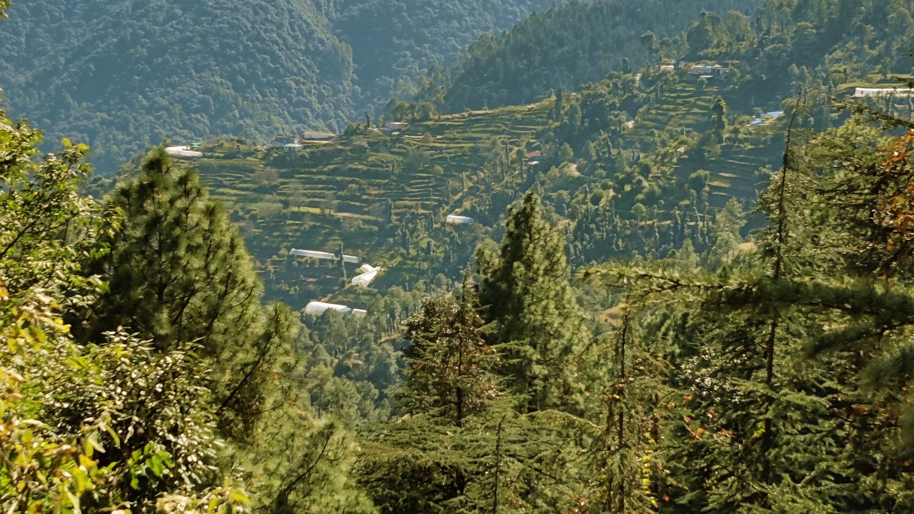 Photo of Outdoor in Kandaghat
