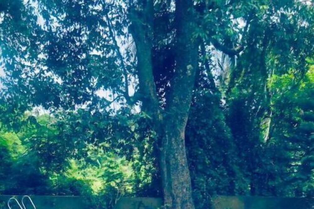 Photo of Outdoor in Kudal