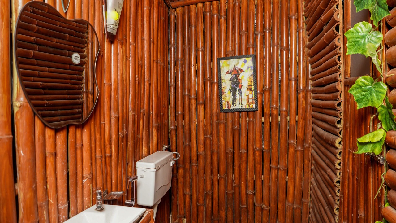 Photo of Bathroom in Kandaghat