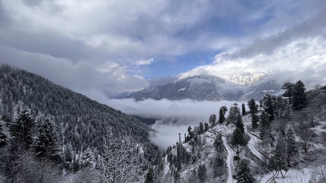 Photo of Others in Manali