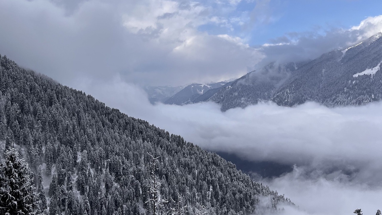 Photo of Others in Manali