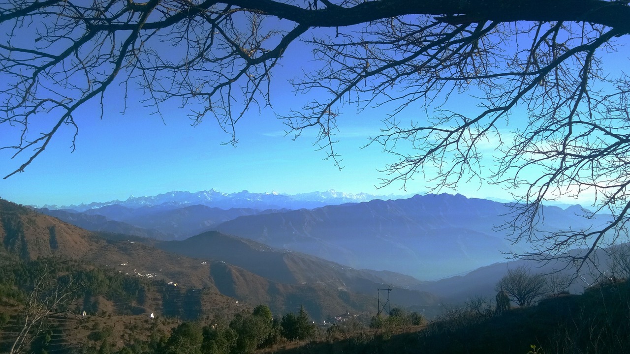 Photo of Others in Tehri