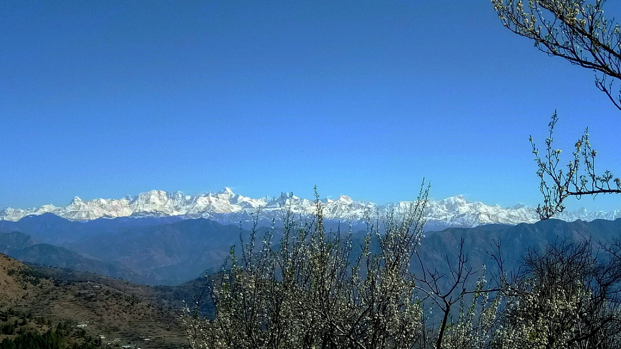 Photo of Others in Tehri