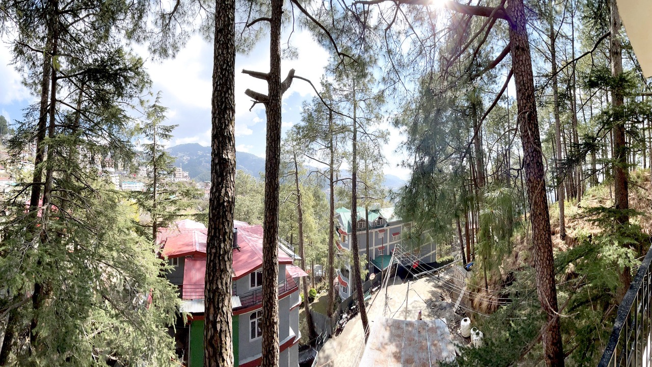 Photo of Others in Shimla
