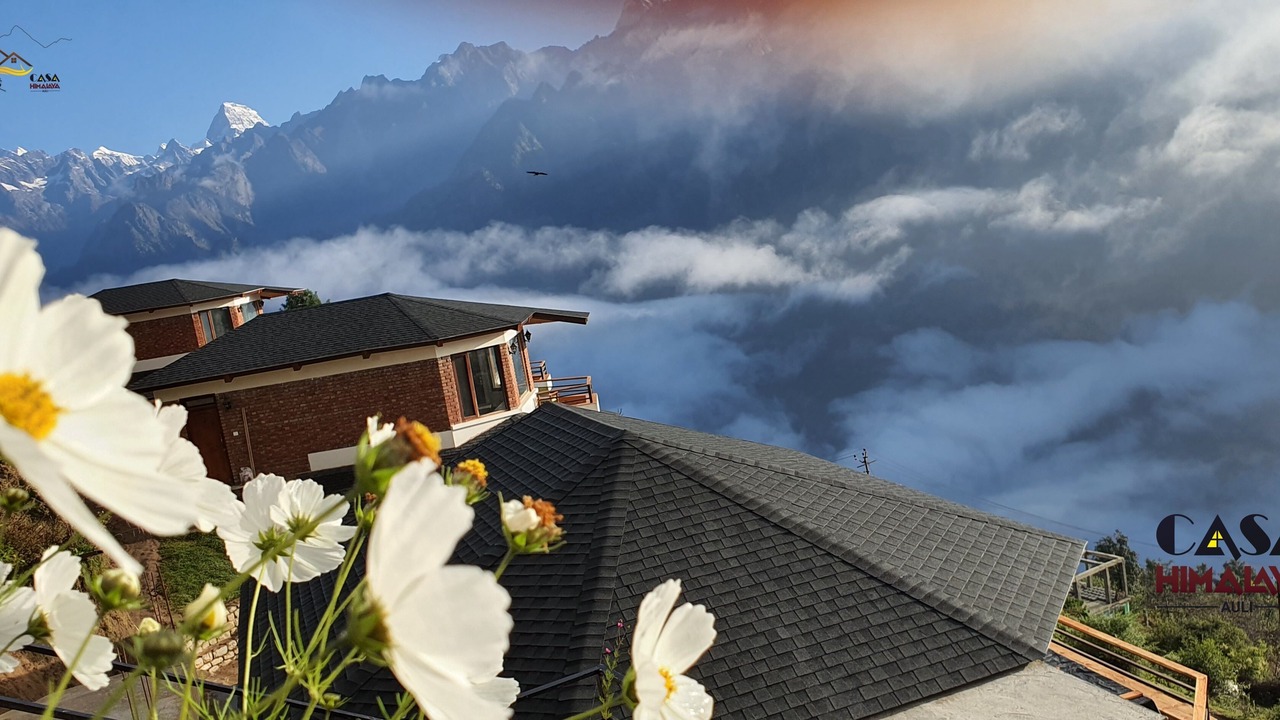 Photo of Outdoor in Auli