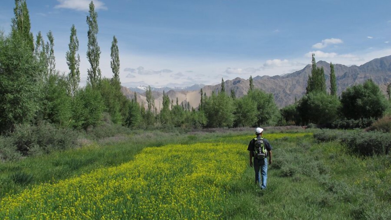 Photo of Outdoor in Leh