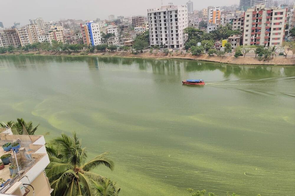 Photo of Outdoor in Gulshan