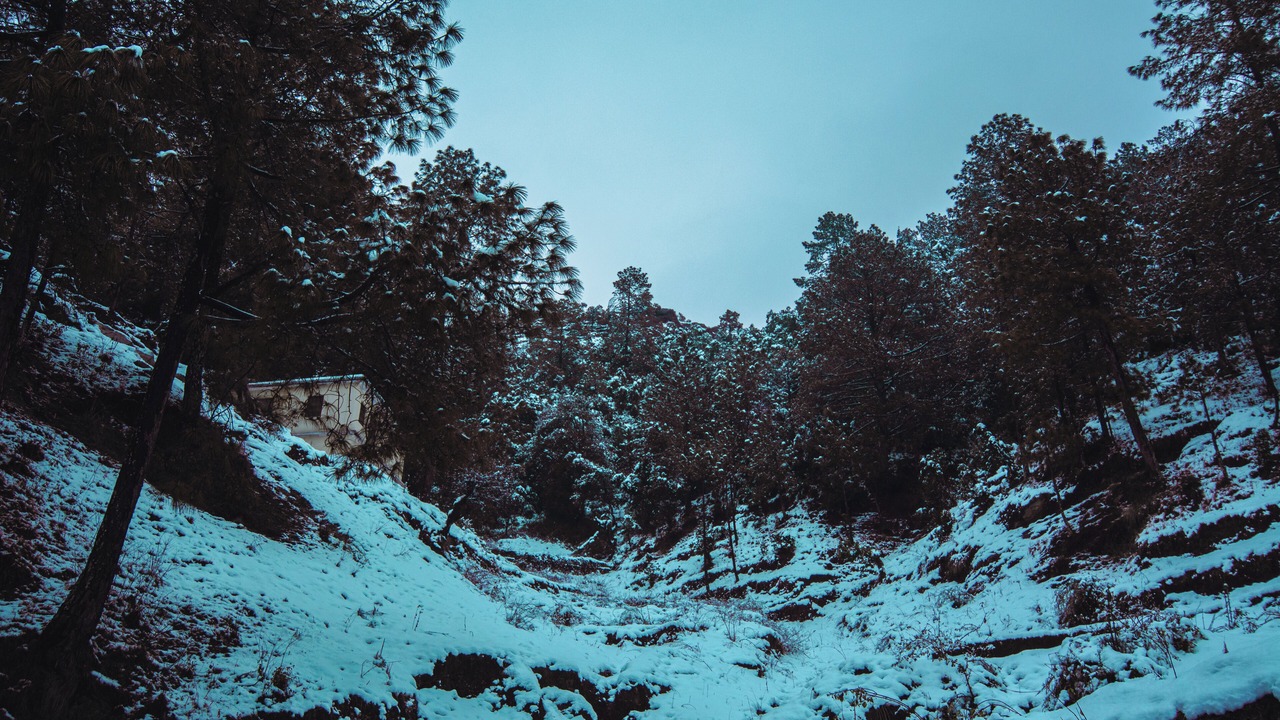 Photo of Outdoor in Kaul