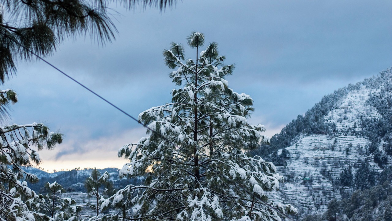 Photo of Outdoor in Kaul