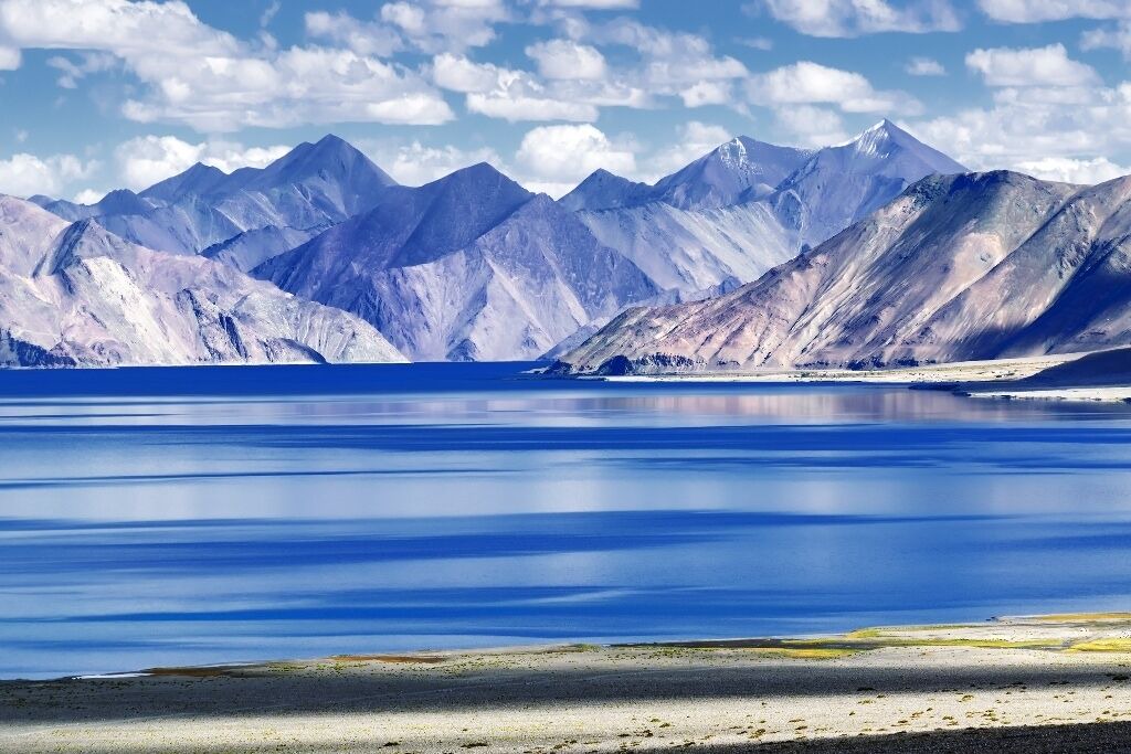 Photo of Others in Leh
