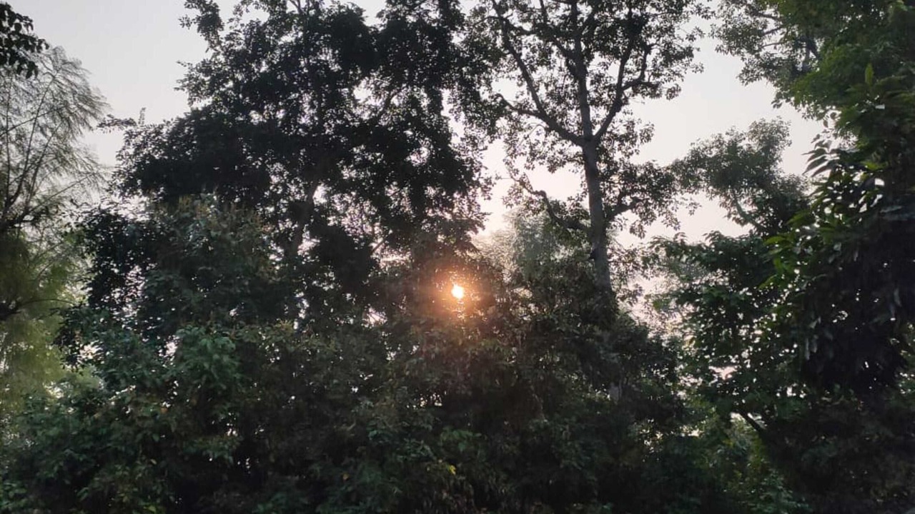 Photo of Outdoor in Bail Parao