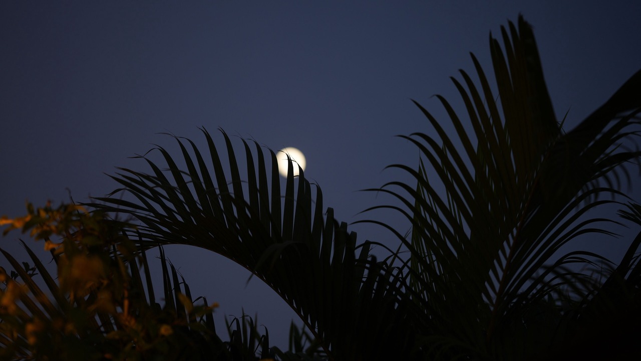 Photo of Outdoor in Comilla